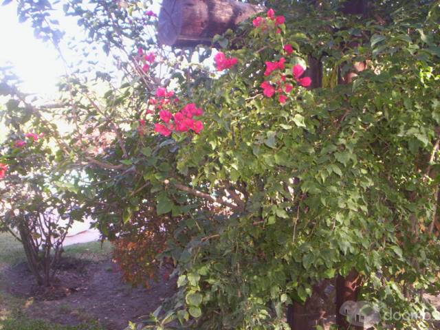 OPORTUNIDAD ÚNICA !!VENDO EN COSTA DE ORO SALINAS RUTA INTERB SOBRE AVENIDA A MTRS DE ASOC ESPAÑOLA - 5