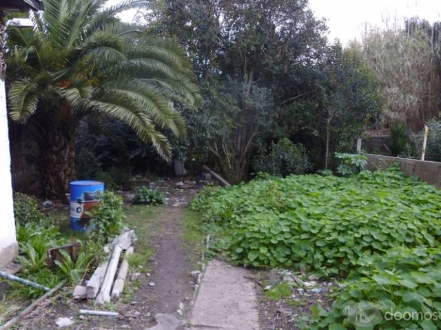 Río de Janeiro entre Holanda y Charcas - 3