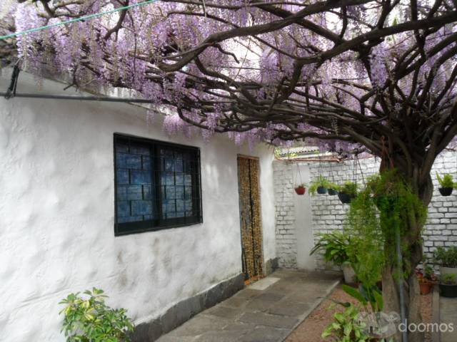 vendo tipo chalet de tejas con apto al fondo impecable - 3