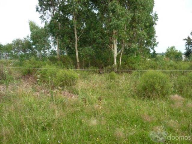 VENDO HERMOSO TERRENO EN PUEBLO EDEN. - 4
