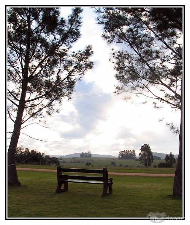 VENDO HERMOSO TERRENO EN PUEBLO EDEN. - 6