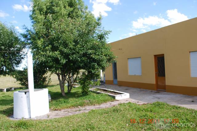 Vendo chacra 17 hás - 2