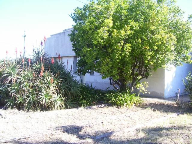 VENDO CASA EN PAYSANDU - 1