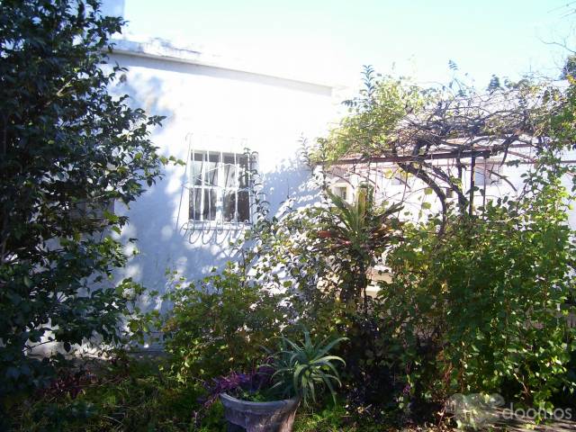VENDO CASA EN PAYSANDU - 2