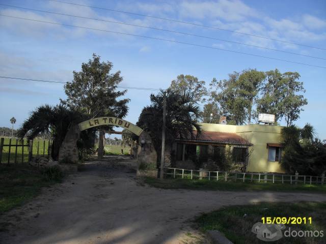 Chacra de 13 Has a solo 9 km de Castillos - 1