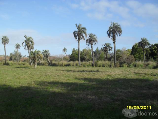 Chacra de 13 Has a solo 9 km de Castillos - 2