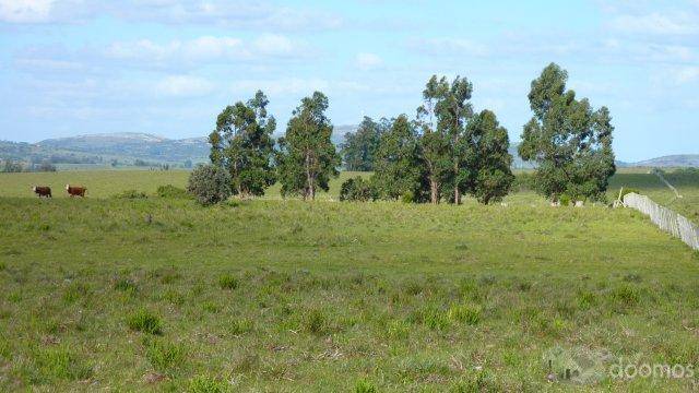 TERRENO 30,2 hectares Pueblo Eden, Maldonado, Uruguay, 16000 Us$/hec. : 483000 US$ - 3