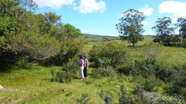 TERRENO 30,2 hectares Pueblo Eden, Maldonado, Uruguay, 16000 Us$/hec. : 483000 US$ - 7