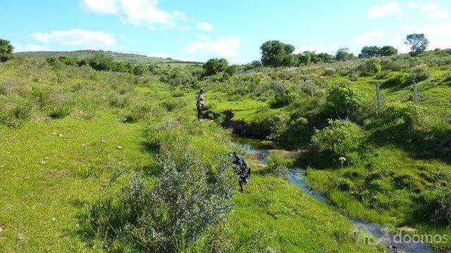 Particulier vend terrain 30,2 hectares, Pueblo Eden, Uruguay. 16000 us$/hect, soit 483000 Us$ - 1