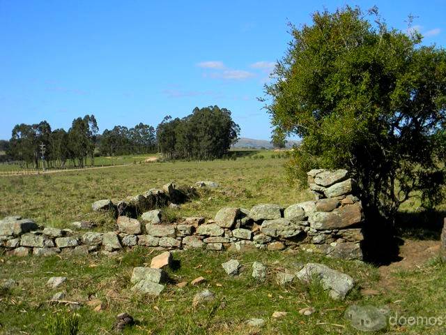 Particulier vend terrain 30,2 hectares, Pueblo Eden, Uruguay. 16000 us$/hect, soit 483000 Us$ - 6