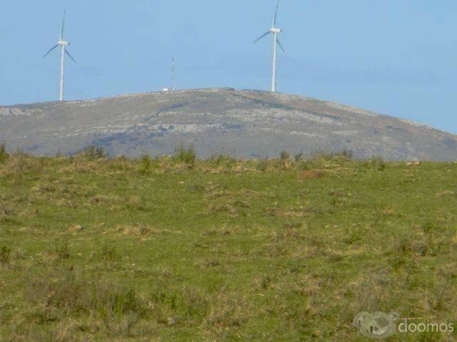 Particulier vend terrain 30,2 hectares, Pueblo Eden, Uruguay. 16000 us$/hect, soit 483000 Us$ - 7