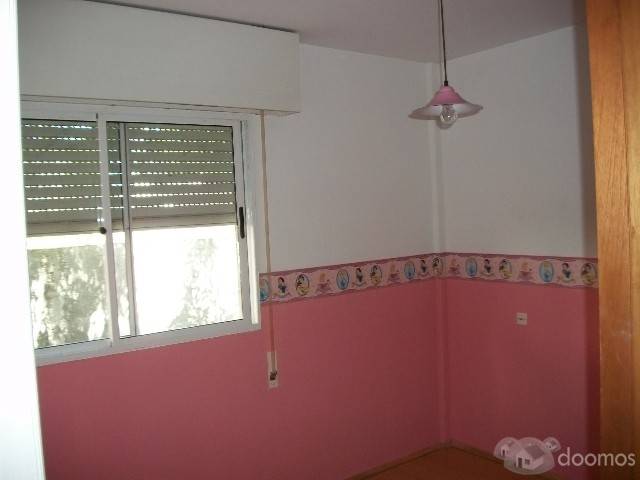 Alquiler de dos apartamentos de tres habitaciones - 2