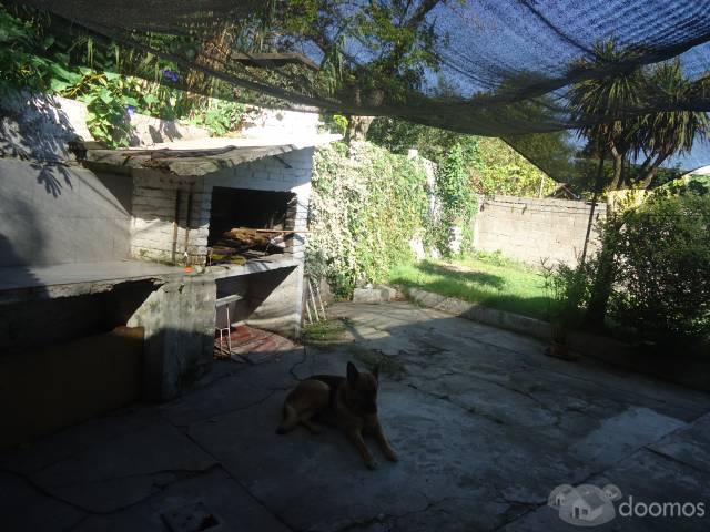 dueño vende 2 casas C/ terrenos en un mismo padron - 7
