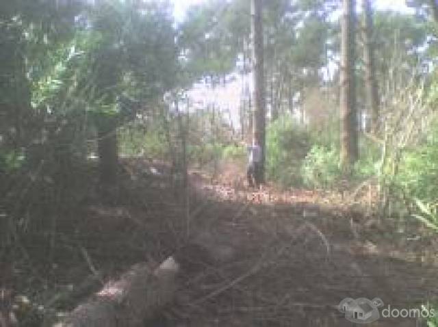 SE VENDE TERRENO EN LA PALOMA SUP. 548.18 m2 - 6