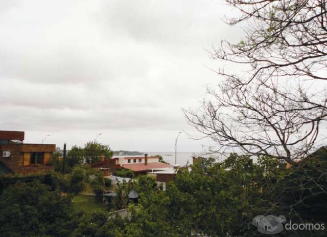 Sacra Propiedades ( Chacras - Terrenos - Casas - Apartamentos) - 5