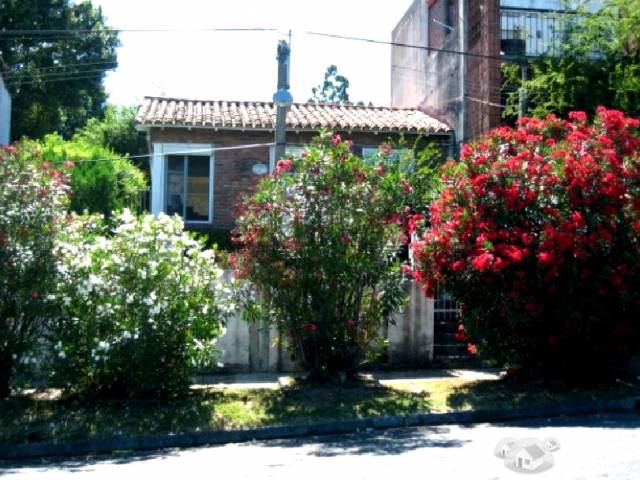 Sacra Propiedades ( Chacras - Terrenos - Casas - Apartamentos) - 1