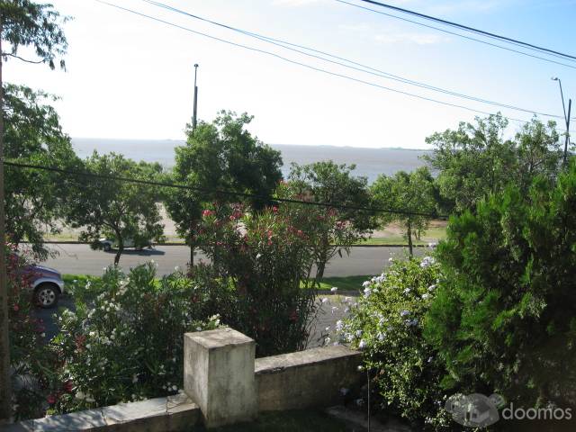Sacra Propiedades ( Chacras - Terrenos - Casas - Apartamentos) - 4
