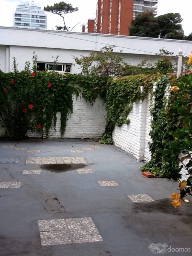 GRAN CHALET EN INMEJORABLE ZONA DE PUNTA DEL ESTE! - 5