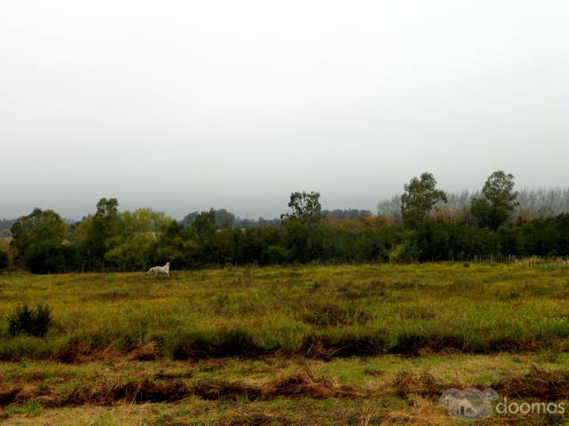 Chacra a la Venta sobre ruta Nº 21 - 7