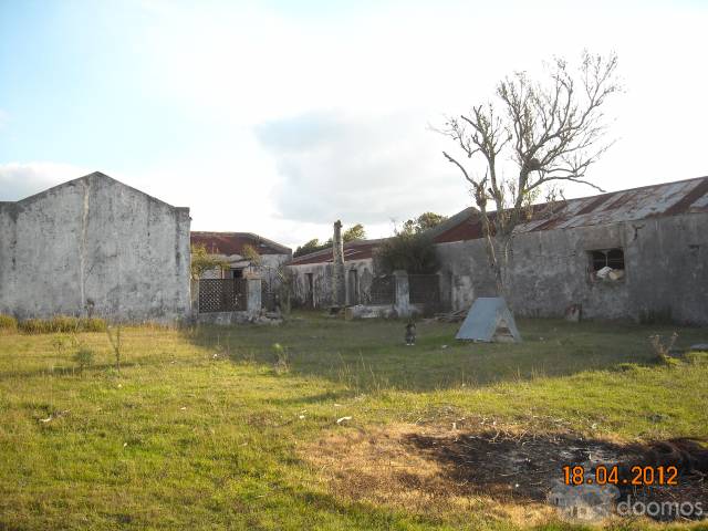 Campo Forestado De 246 Hectáreas en límite de Lavalleja y Maldonado - 5