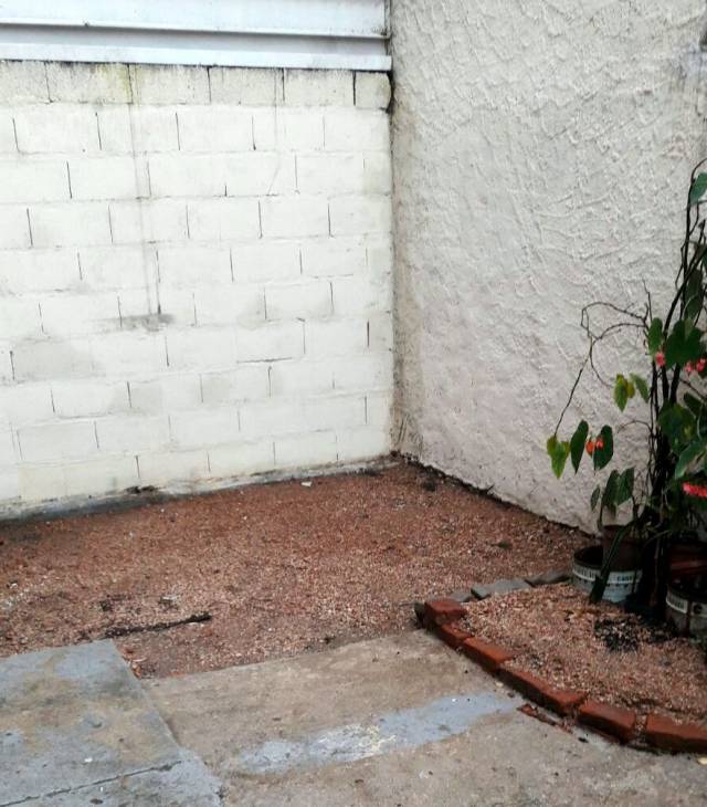 DUPLEX COOPERATIVA COVIMINTSS1 - CAMINIO EDISON Y EUGENIO GARZON - SAYAGO - 4