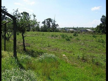 Alquilar Campo Montevideo CARRASCO NORTE - 1