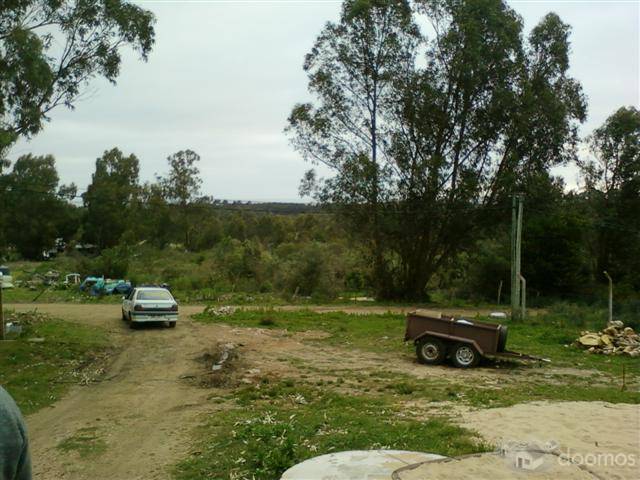 1000 m2 con vista al mar opcion a 2000 m2 a 22000 US$ - 2