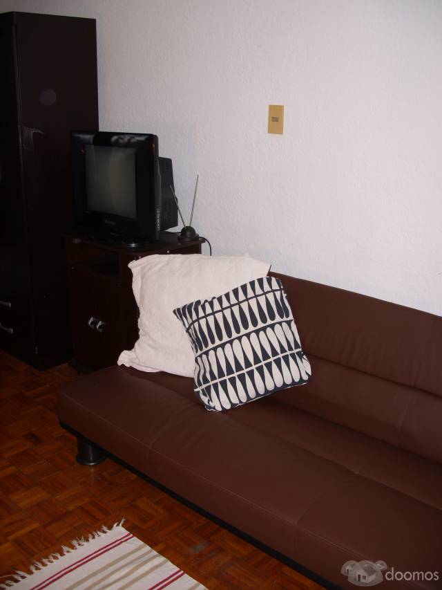 temporario*Extranjeros*Apartamento monoambiente*Centro*Renovado - 2