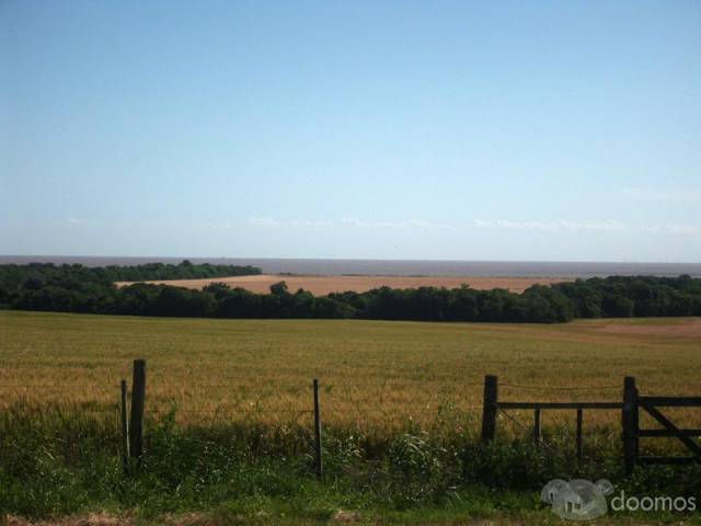 Excelente campo de 27 has con una vista única - 1