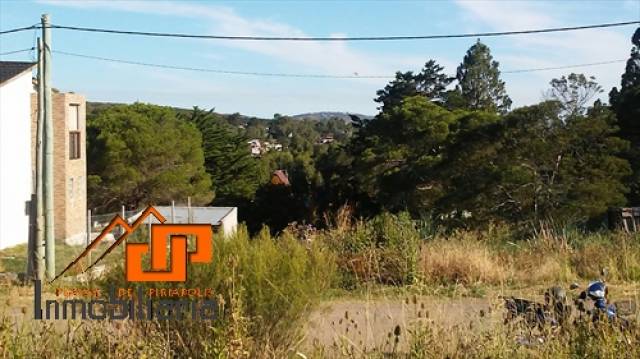 Terreno en último anillo del Cerro del Burro - 1