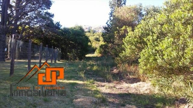 Terreno en último anillo del Cerro del Burro - 3