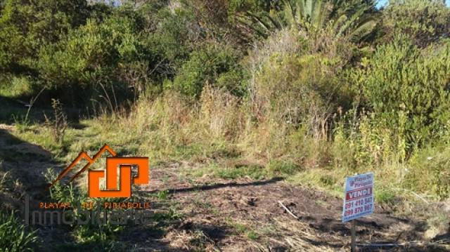 Terreno en último anillo del Cerro del Burro - 4