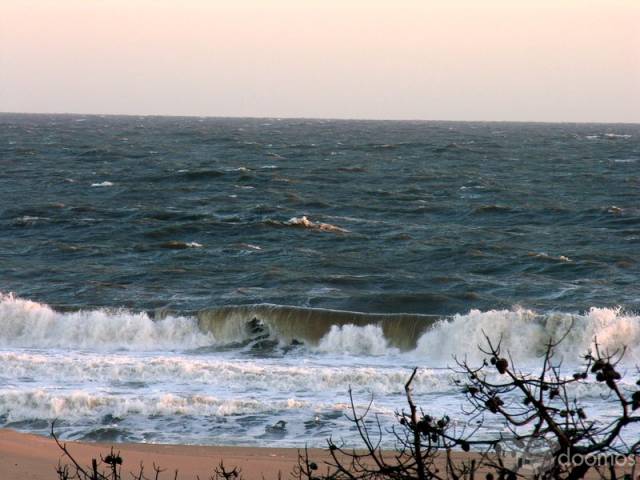 Terrenos en Sauce de Portezuelo – Chihuahua - Ocean Park - Piedras del Chileno - Punta del Este - Maldonado - 3
