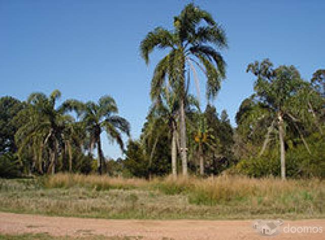 Terrenos en Sauce de Portezuelo – Chihuahua - Ocean Park - Piedras del Chileno - Punta del Este - Maldonado - 8