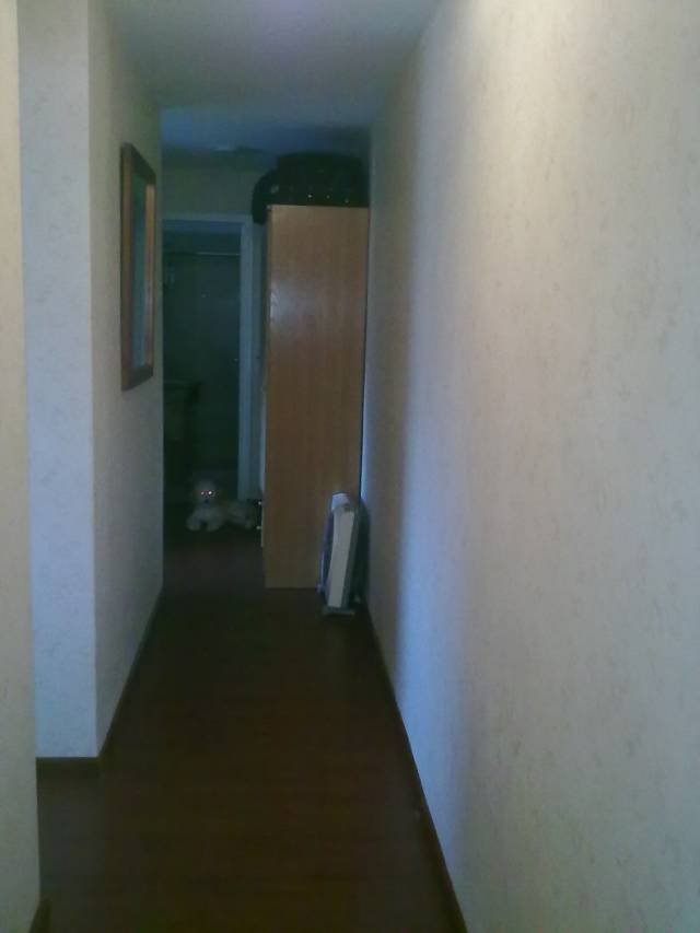Apartamento de 3 dormitorios en Malvin - 5