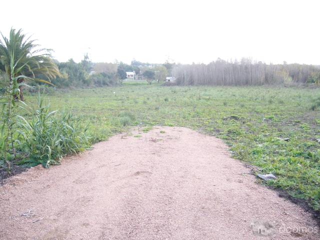 Terreno de 13.000 m2 (Urbano) autorizado para empresas sin restricciones - 2