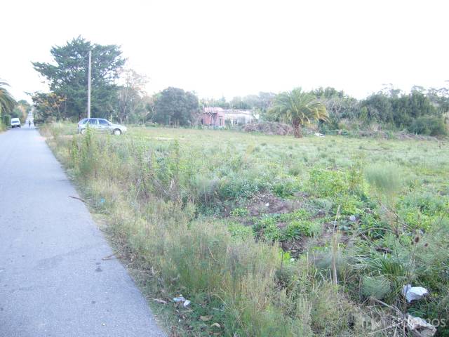 Terreno de 13.000 m2 (Urbano) autorizado para empresas sin restricciones - 3