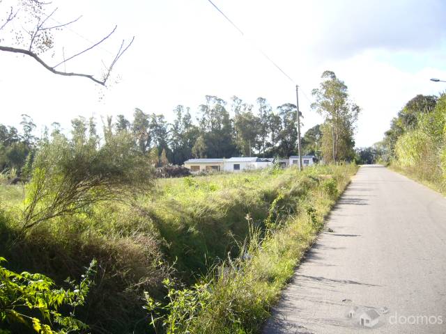Terreno de 13.000 m2 (Urbano) autorizado para empresas sin restricciones - 4