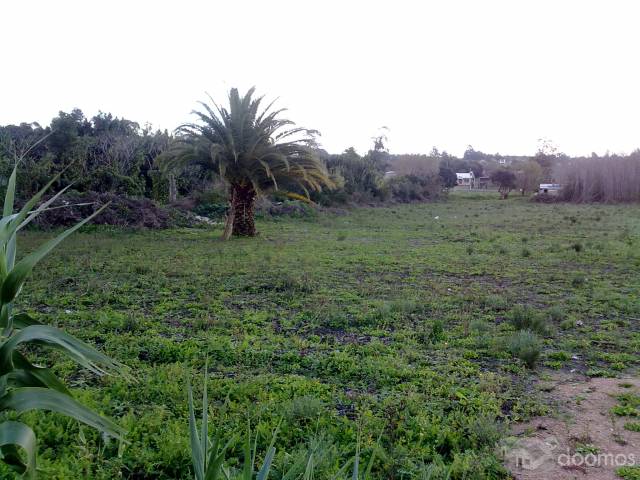 Terreno de 13.000 m2 (Urbano) autorizado para empresas sin restricciones - 5