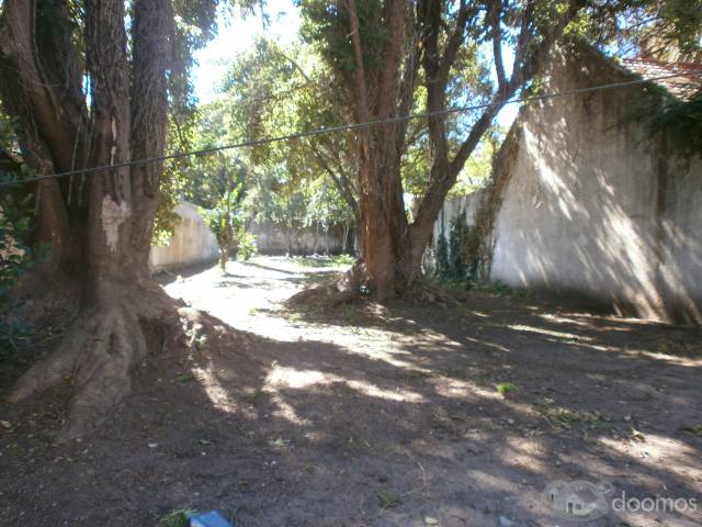 Sobre Millan y L.A. de Herrera Importante Casa con 900 m2 de terreno - 5