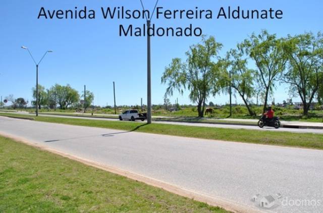 Importante terreno de 101.367 metros cuadrados en Maldonado totalmente fraccionado con servicios - 5