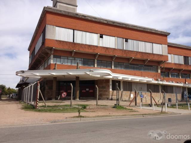 Importante Local Industrial arrendado ideal inversores que busquen buena renta - 3