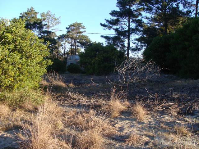 VENTA DE TERRENOS - 1