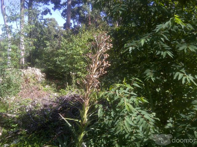 vendo terreno en Balneario Santa Ana en Canelones Km 74 de ruta interbanearia - 3