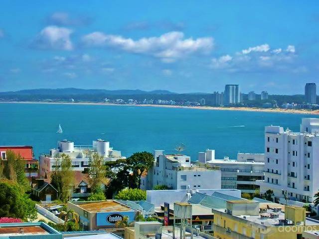 Alquiler Apartamento en Punta del Este - 2