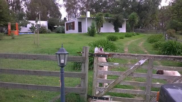 ESTABLECIMIENTO AGROECOLÓGICO - 2