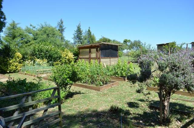 ESTABLECIMIENTO AGROECOLÓGICO - 3