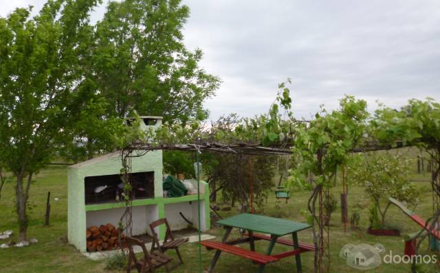 Alquilo casa en San Gregorio de Polanco Tacuarembo Uruguay - 5