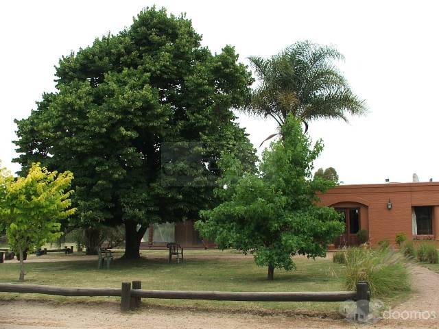 EXCEPCIONAL TERRENO EN VENTA CON INSTALACIONES - 3