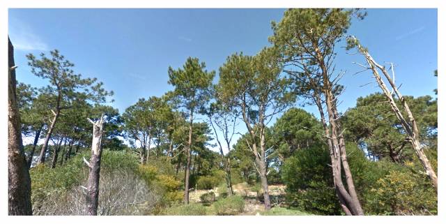 Espectacular Terreno En Playa La Serena en La Paloma - Rocha - Uruguay - 4